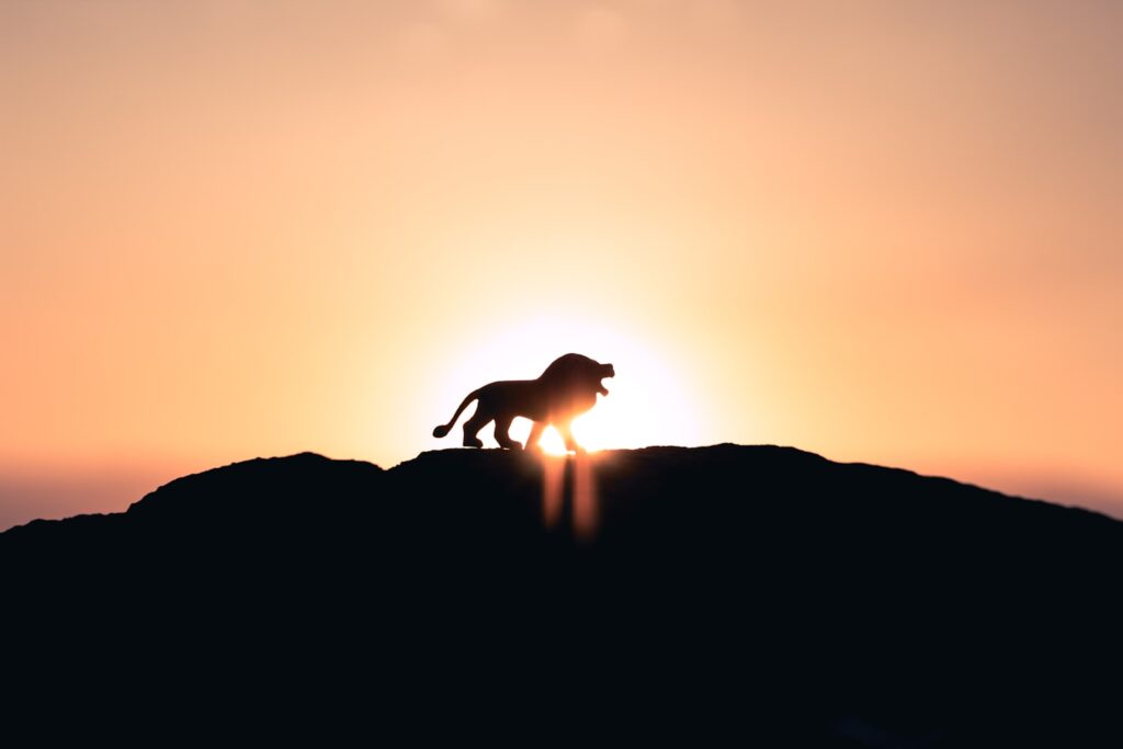 King of the jungle